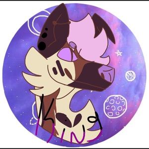 Meet your Posher, Ds